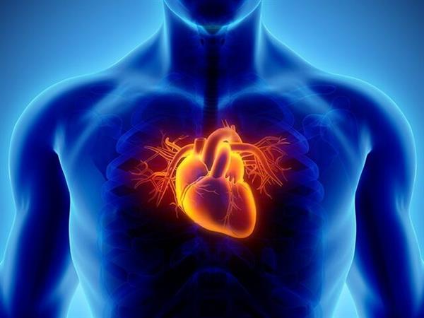 برای سلامت قلب‌مان چه کنیم؟