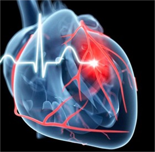 عوامل پیشگیری از بیماری‌های قلبی