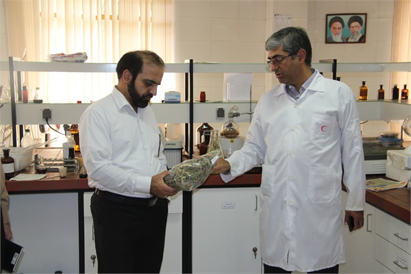 بازدید مدیرعامل سازمان تدارکات پزشکی از شرکت کشت و صنعت فرآوری گیاهان دارویی سها جیسا و پروژه 16 واحدی سرای سها در سلمانشهر