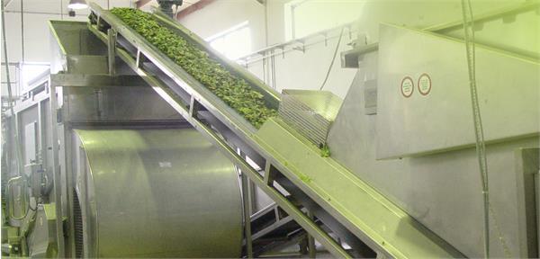 IRCS produces 4 tons of herbal extract for veterinary network, MPO's managing director reported