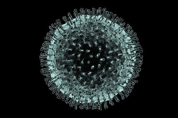 دانشمندان داروی جدیدی برای مقابله با ویروس ها پیدا کردند