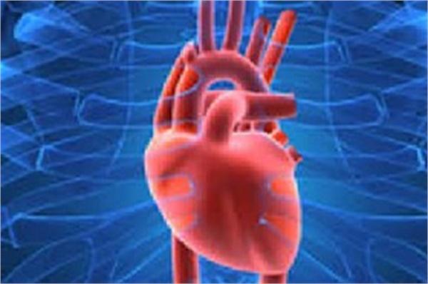 ورزش فاکتور اصلی پیشگیری از بیماری‌های قلبی عروقی