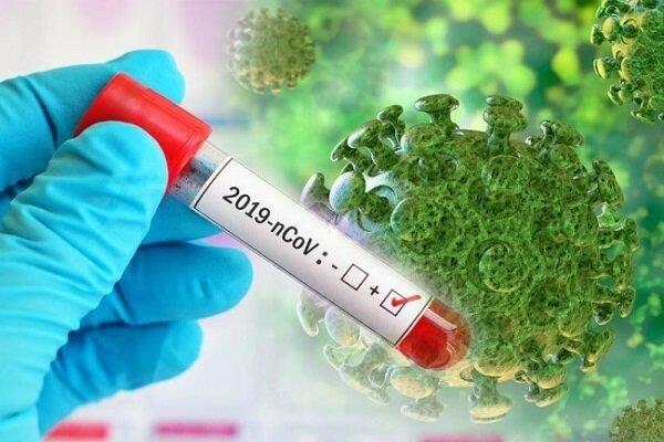یافته جدید محققان؛ نوع گروه خونی شدت بیماری کووید ۱۹ را پیش بینی می کند