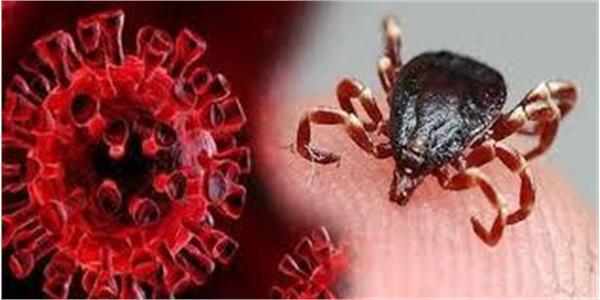 تایید نخستین داروی پیشگیرانه تب کریمه‌کنگو توسط FDA