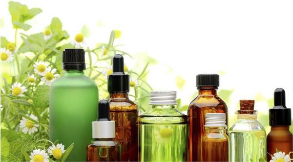 Increasing production capacity and movement towards the production of knowledge-based products in the Red Crescent Society.