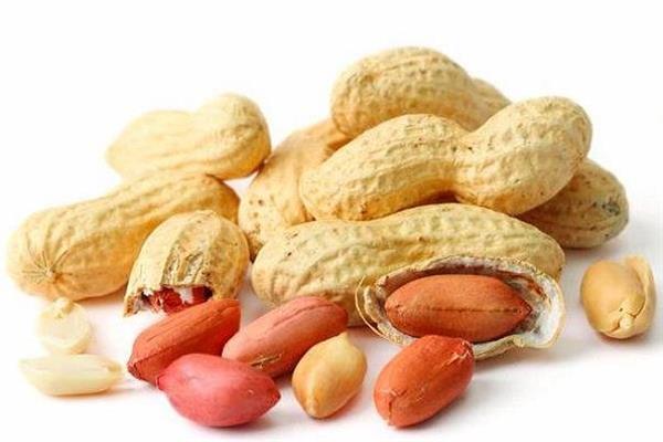 درمان جدید مقابله با آلرژی به بادام زمینی
