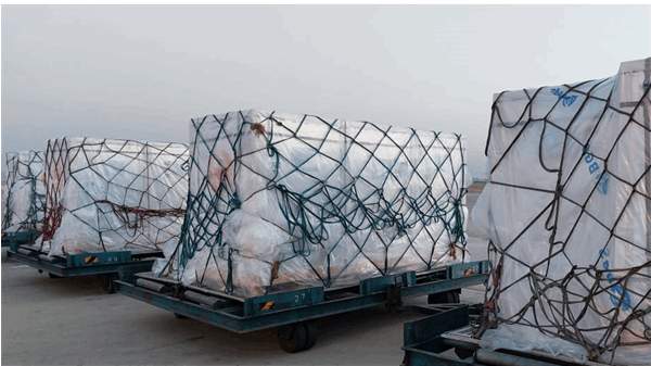 گزارشی از خدمات دارویی هلال احمر به مناسبت هفته دولت/اینفوگرافیک