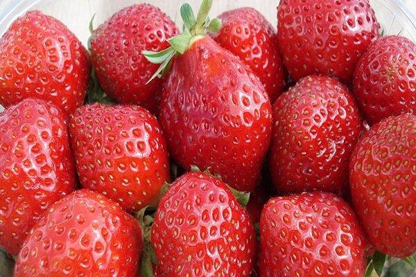 فواید حفاظتی مصرف توت و سیب و چای در برابر آلزایمر