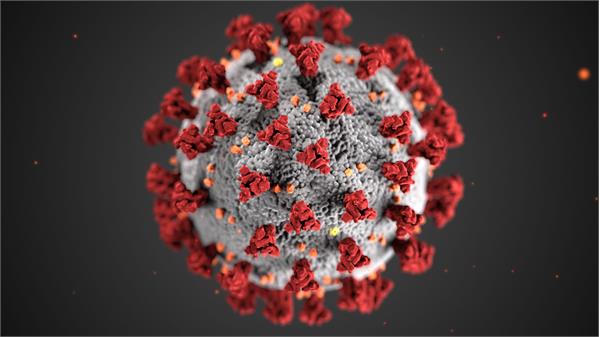 WHO recommends two new drugs to treat COVID-19