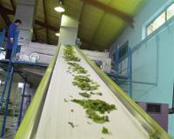 New products of Soha Jissa get International standards Certificates
