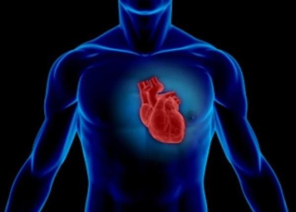 آمادگی قلبی و عروقی موجب طول عمر بیشتر می شود
