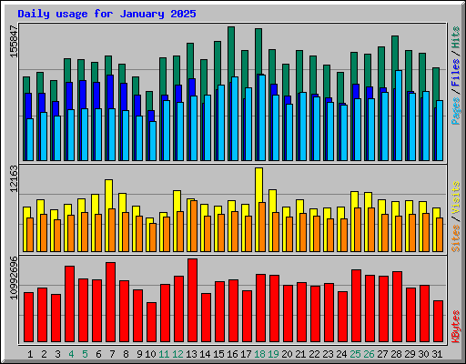 Daily usage for January 2025