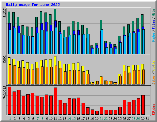 Daily usage for June 2025
