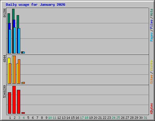 Daily usage for January 2026