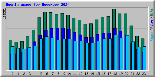 Hourly usage for November 2024