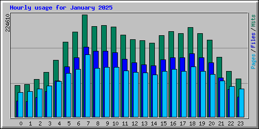 Hourly usage for January 2025