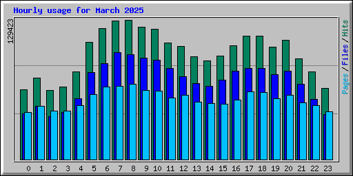 Hourly usage for March 2025