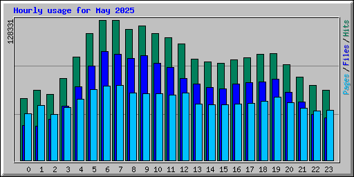 Hourly usage for May 2025