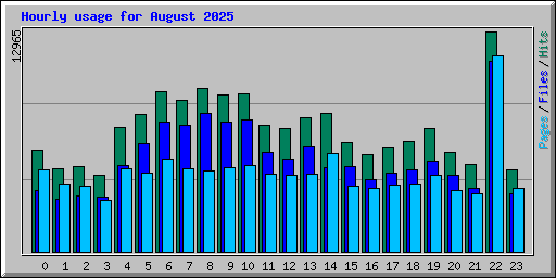 Hourly usage for August 2025