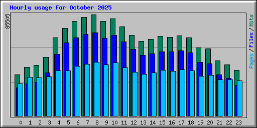 Hourly usage for October 2025