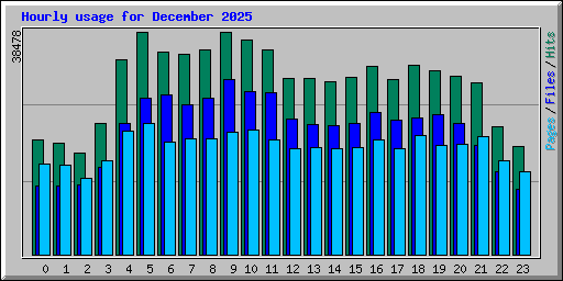 Hourly usage for December 2025