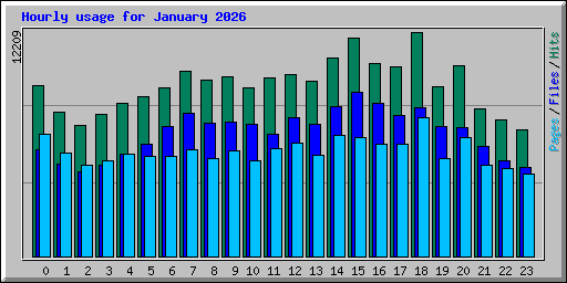 Hourly usage for January 2026
