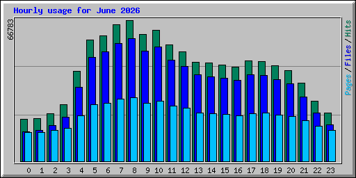 Hourly usage for June 2026